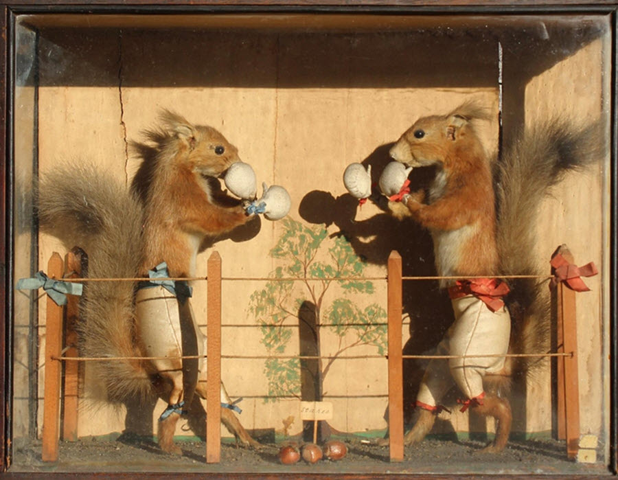  anthropomorphic taxidermy